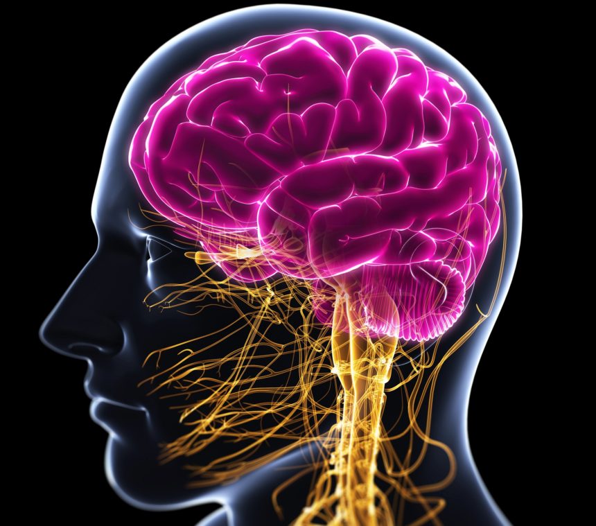 How Does Lupus Impact The Central Nervous System